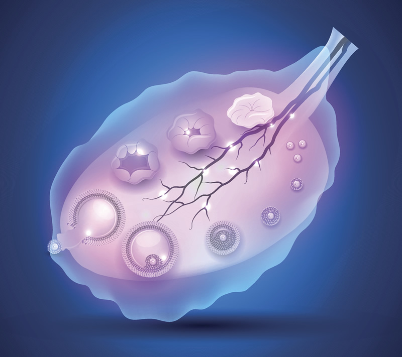 杭州单身人士选择杭州市富阳区妇幼保健院做试管成功率高不高？